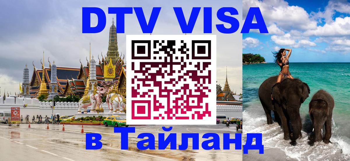 Сколько стоит DTV виза — актуальные цены, оформление даже без документов - 18.11.2025 